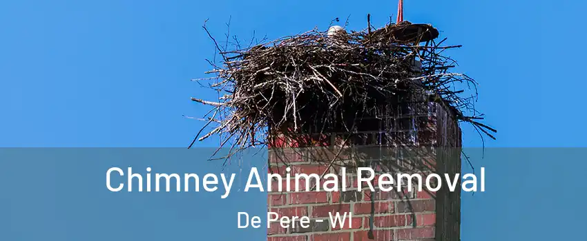  Chimney Animal Removal De Pere - WI