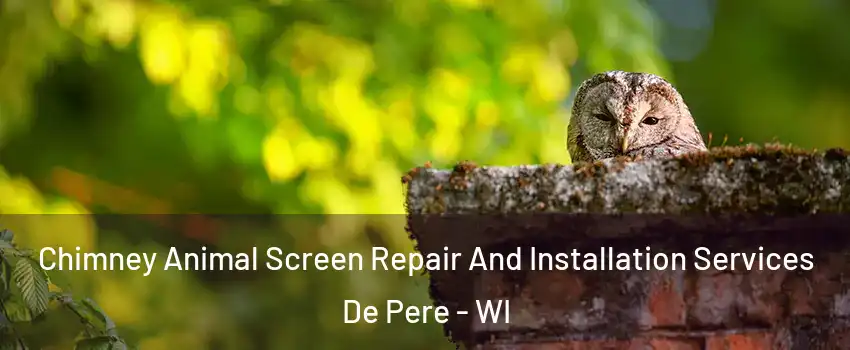  Chimney Animal Screen Repair And Installation Services De Pere - WI