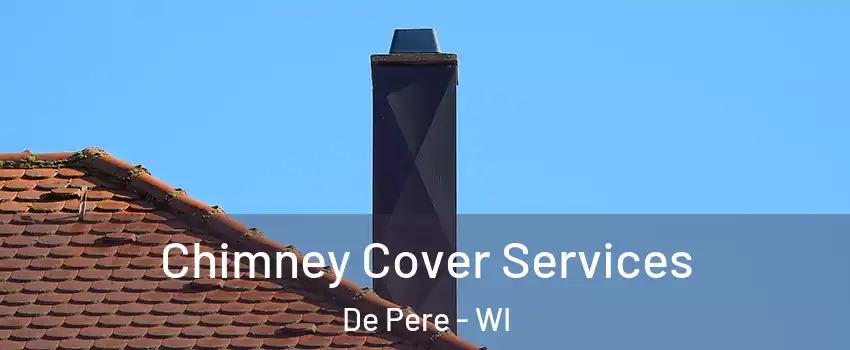  Chimney Cover Services De Pere - WI