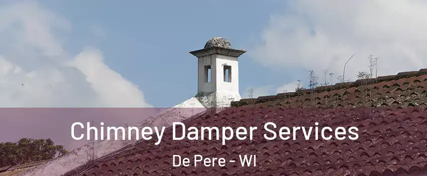  Chimney Damper Services De Pere - WI
