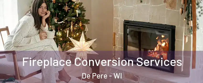  Fireplace Conversion Services De Pere - WI