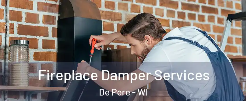  Fireplace Damper Services De Pere - WI