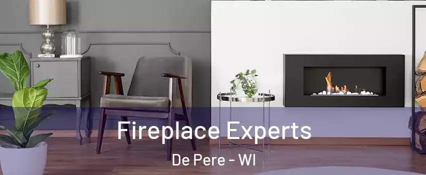  Fireplace Experts De Pere - WI