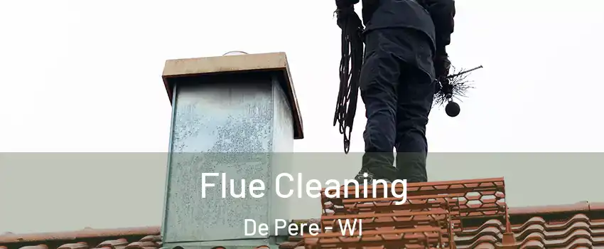  Flue Cleaning De Pere - WI