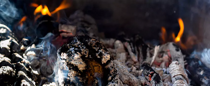 Creosote Removal Experts in De Pere, WI